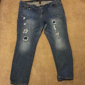 Torrid plus size jeans